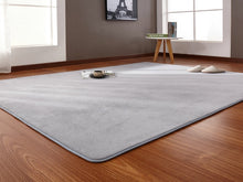 Load image into Gallery viewer, 160*200cm High-end Home Coral Velvet Carpet Bedroom Living Room Non-slip Blanket Children Crawling Mat Tatami Mat Wholesale