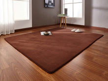 Load image into Gallery viewer, 160*200cm High-end Home Coral Velvet Carpet Bedroom Living Room Non-slip Blanket Children Crawling Mat Tatami Mat Wholesale