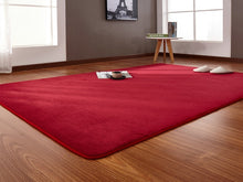 Load image into Gallery viewer, 160*200cm High-end Home Coral Velvet Carpet Bedroom Living Room Non-slip Blanket Children Crawling Mat Tatami Mat Wholesale